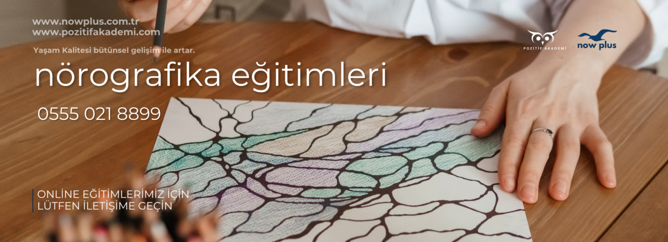 nörografika eğitimi